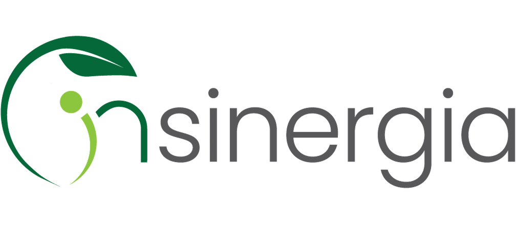 Logo inSinergia