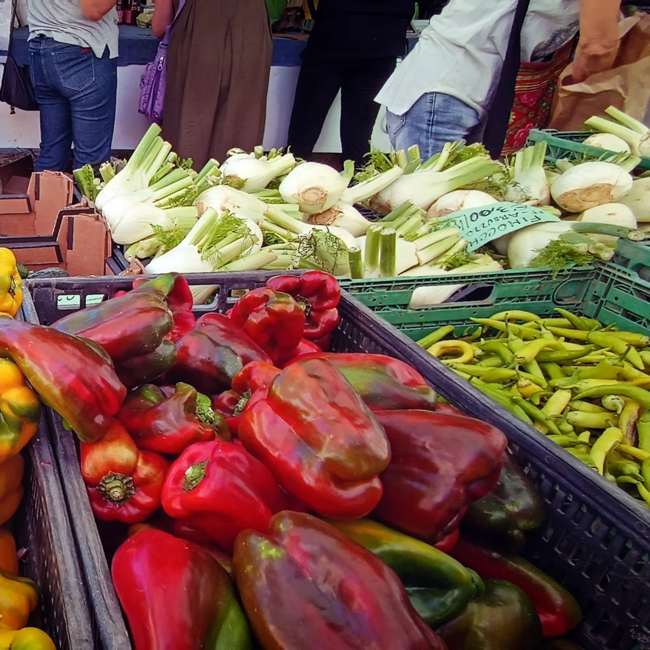 Mercato biologico Piazza Isolo