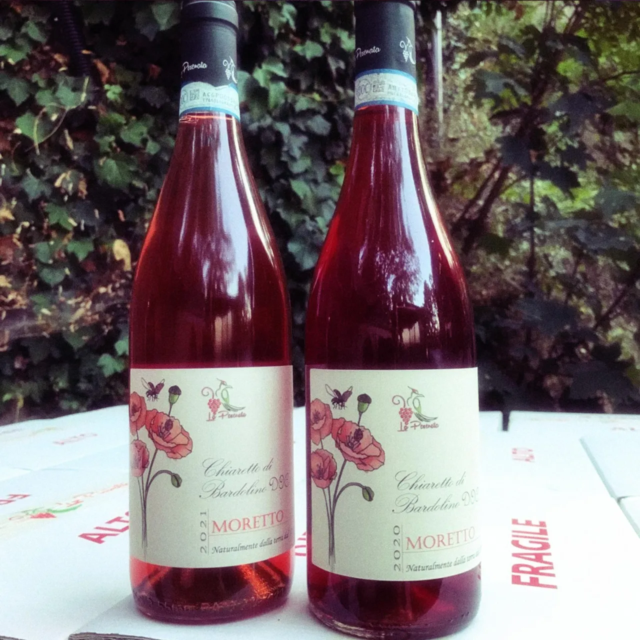 La Pesenata Vino biologico biodinamico