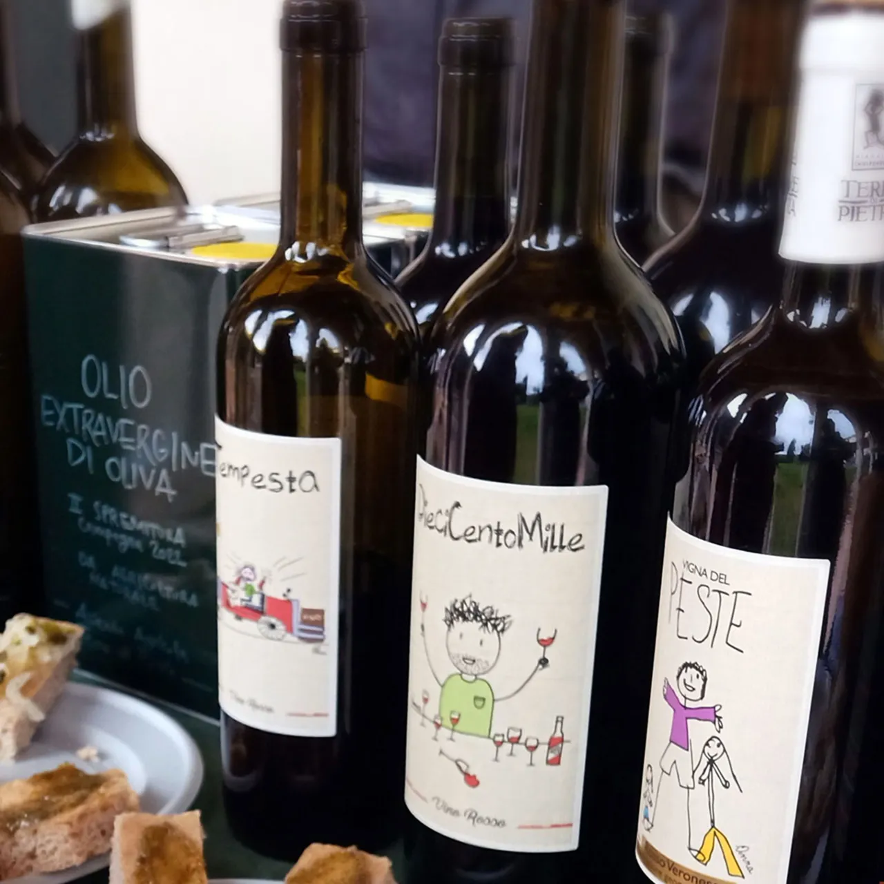 Terre di pietra, cantina e vigneto