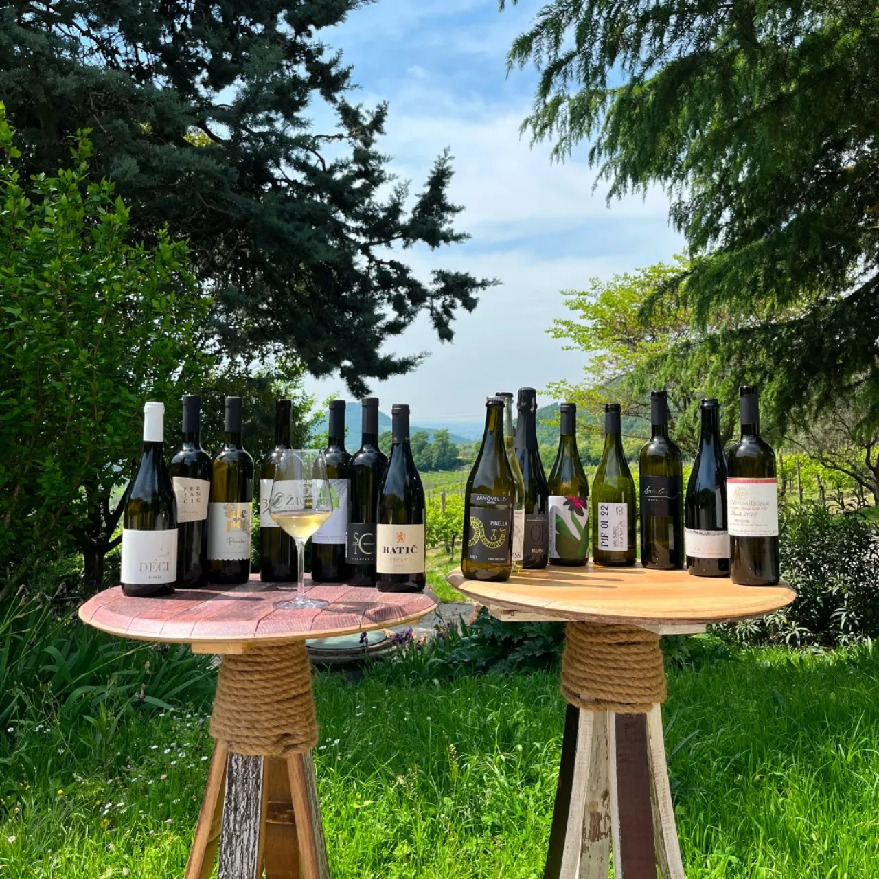 Azienda vitivinicola Cà Lustra