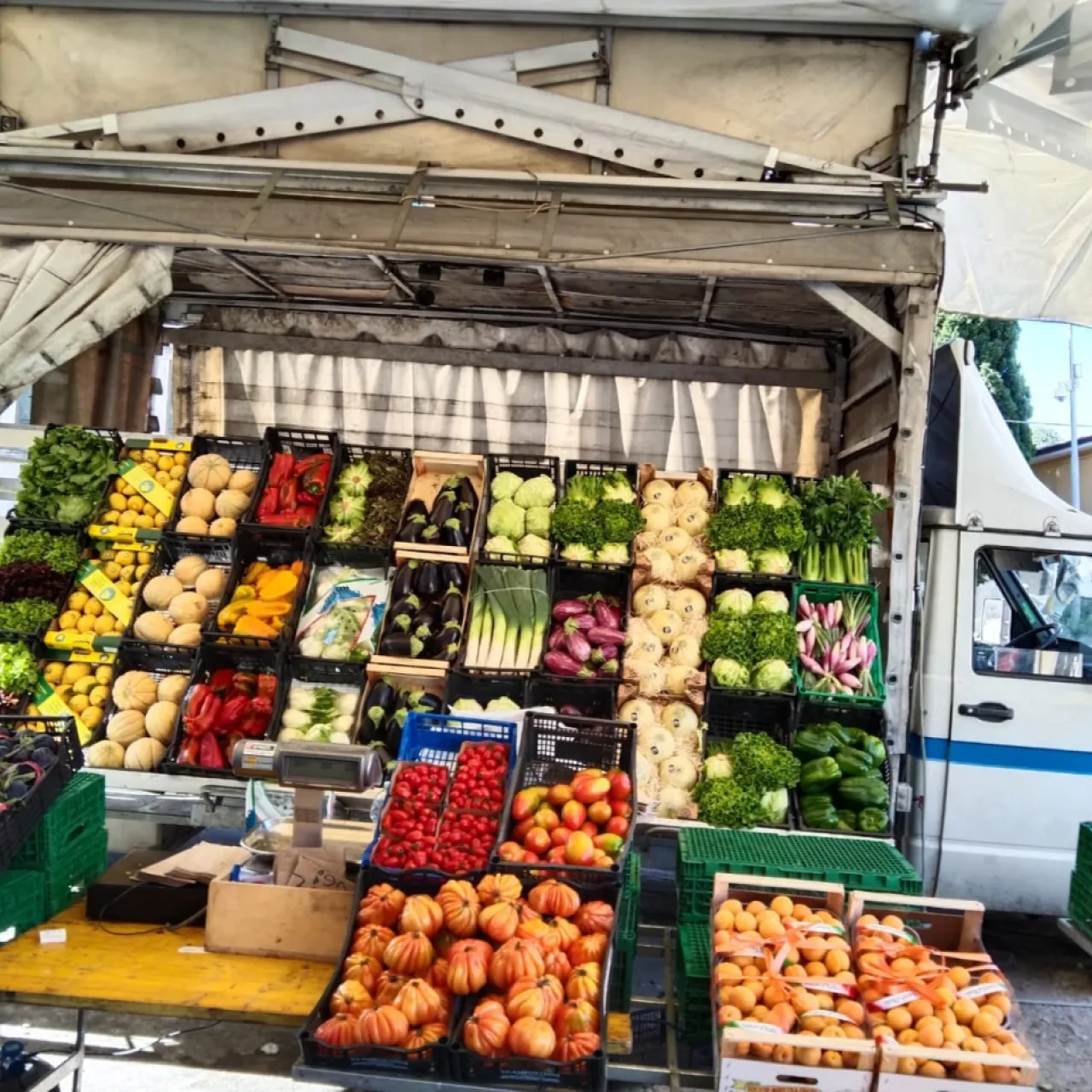 FRUTTA E VERDURA LA BONITA