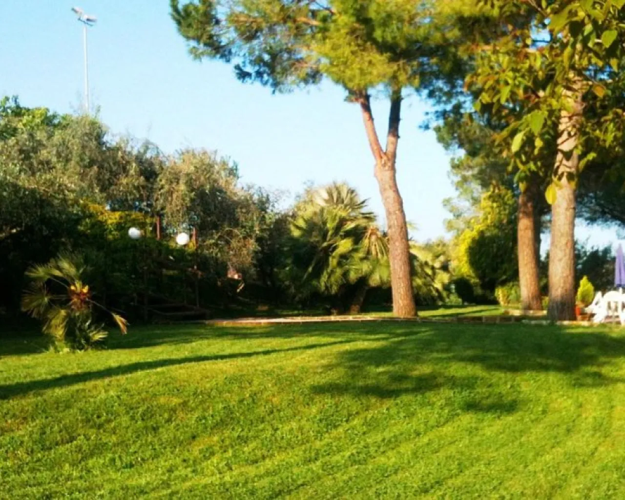 Casale Il Gallo Bianco