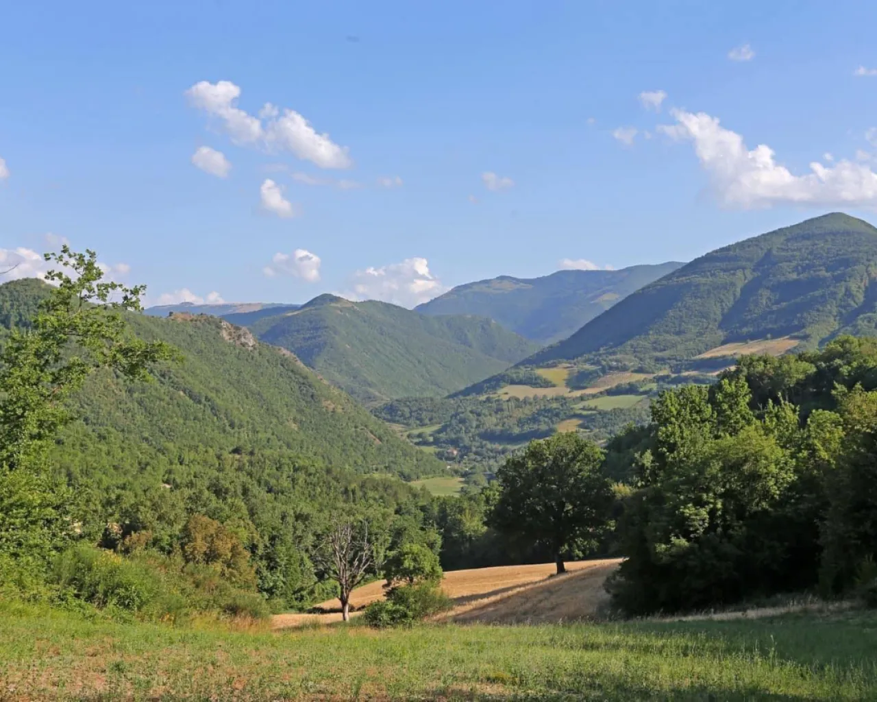 Azienda Agricola Il Gentil Verde