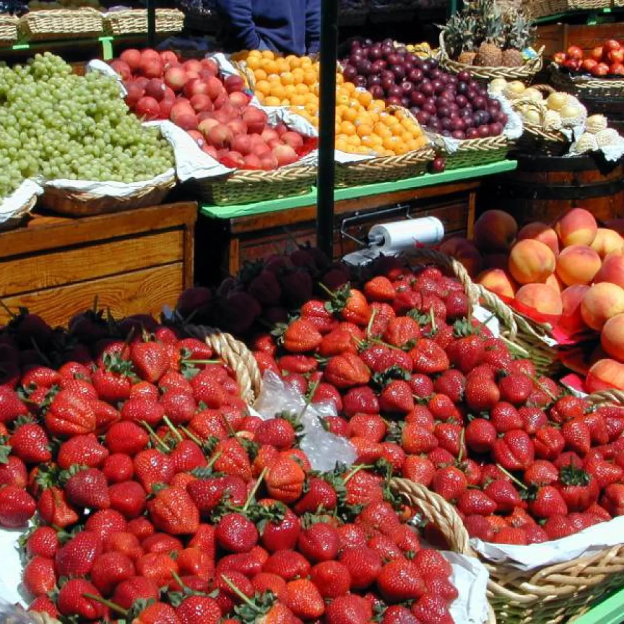 Fiera del Prodotto Naturale Biologico - Art + Bio