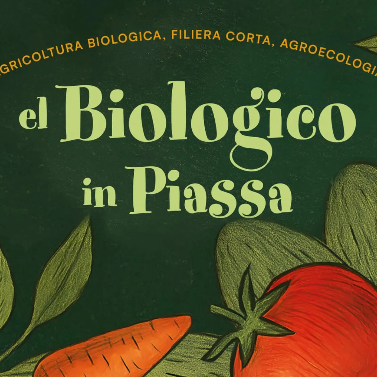 El Biologico in Piassa a Padova
