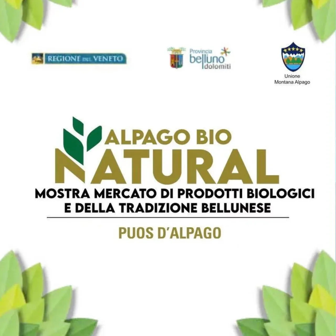 Alpago Bio Natural