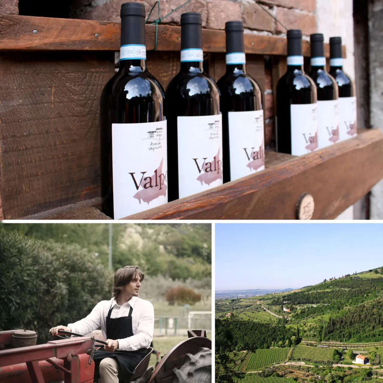 Azienda Agricola Antica Valpolicella