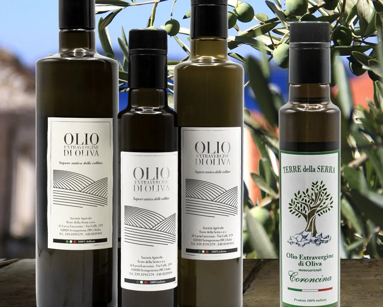Società Agricola Terre della Serra