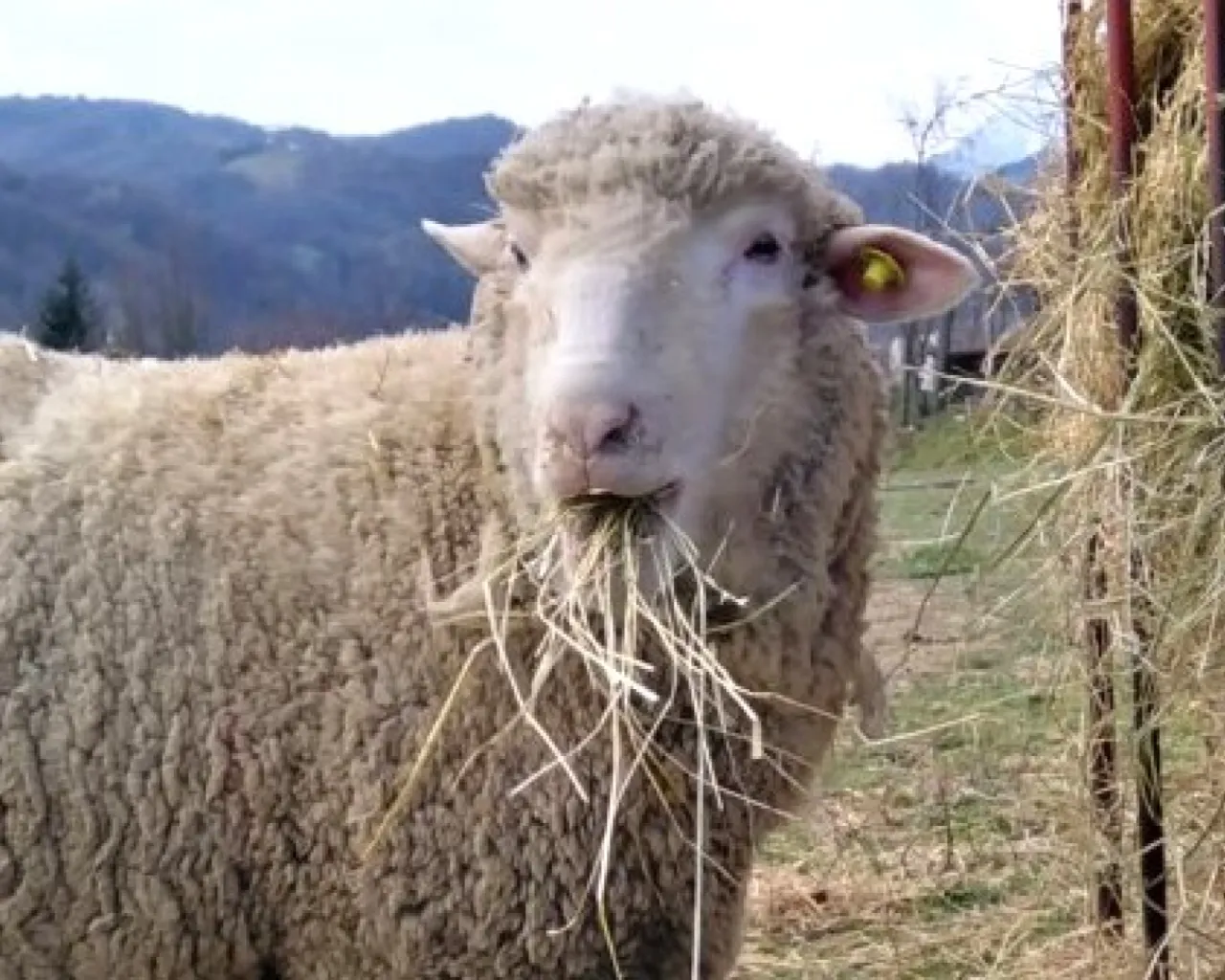 Società Agricola Terre della Serra