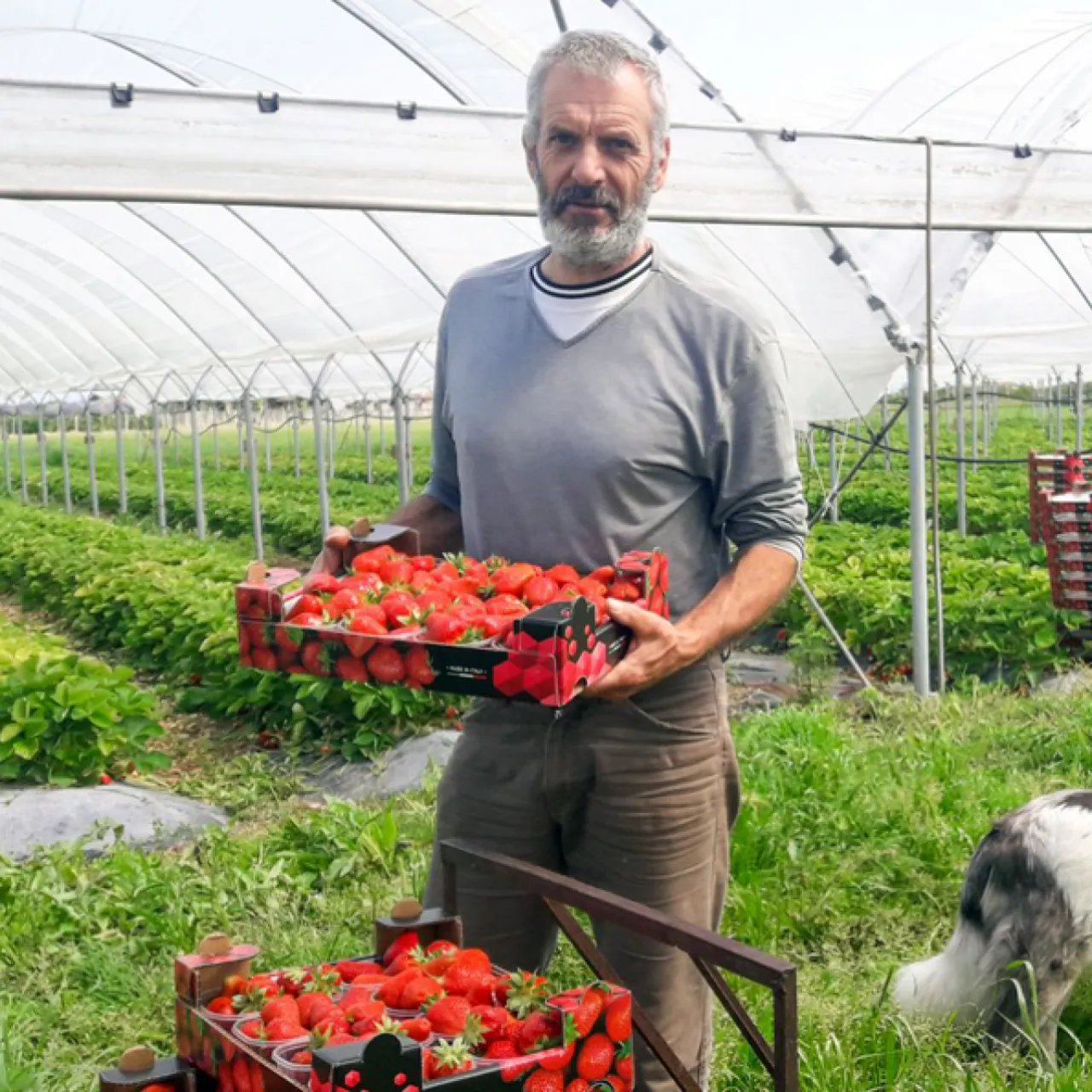 Azienda agricola Bonizzato Luca
