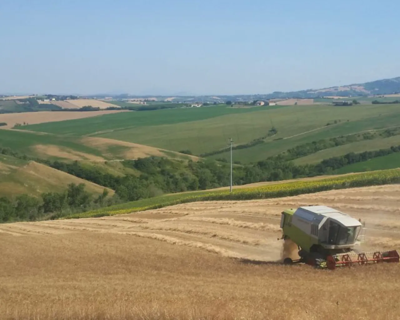 Azienda agricola La Fonte