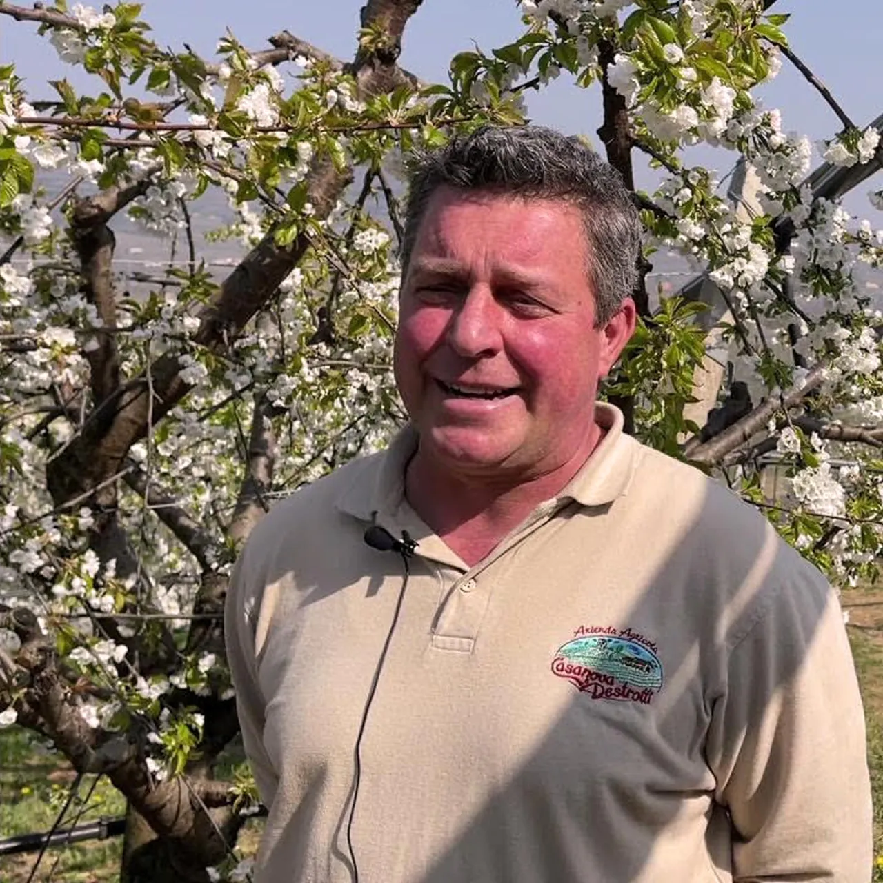 Azienda Agricola Casanova e Destrotti