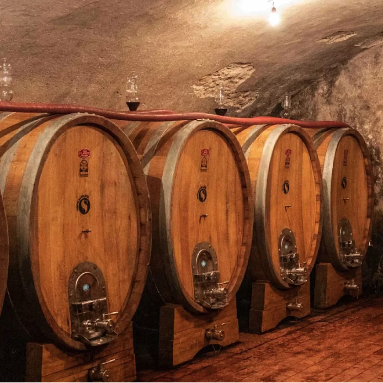 Azienda Agricola Corte Saibante