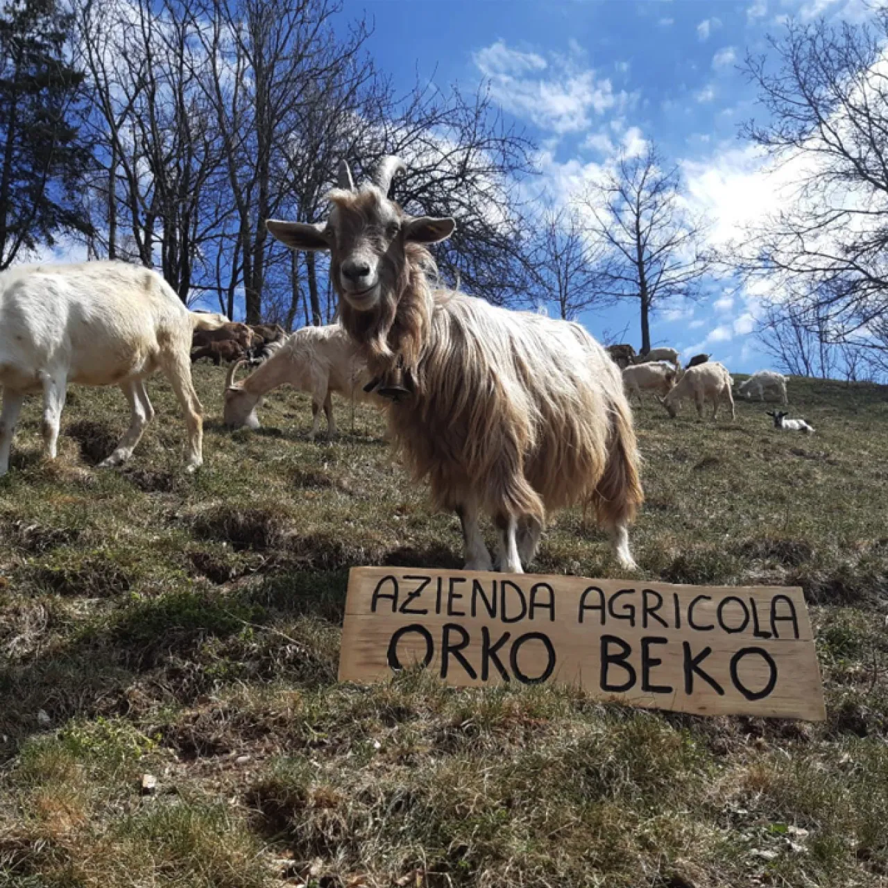 Azienda Agricola Orko Beko