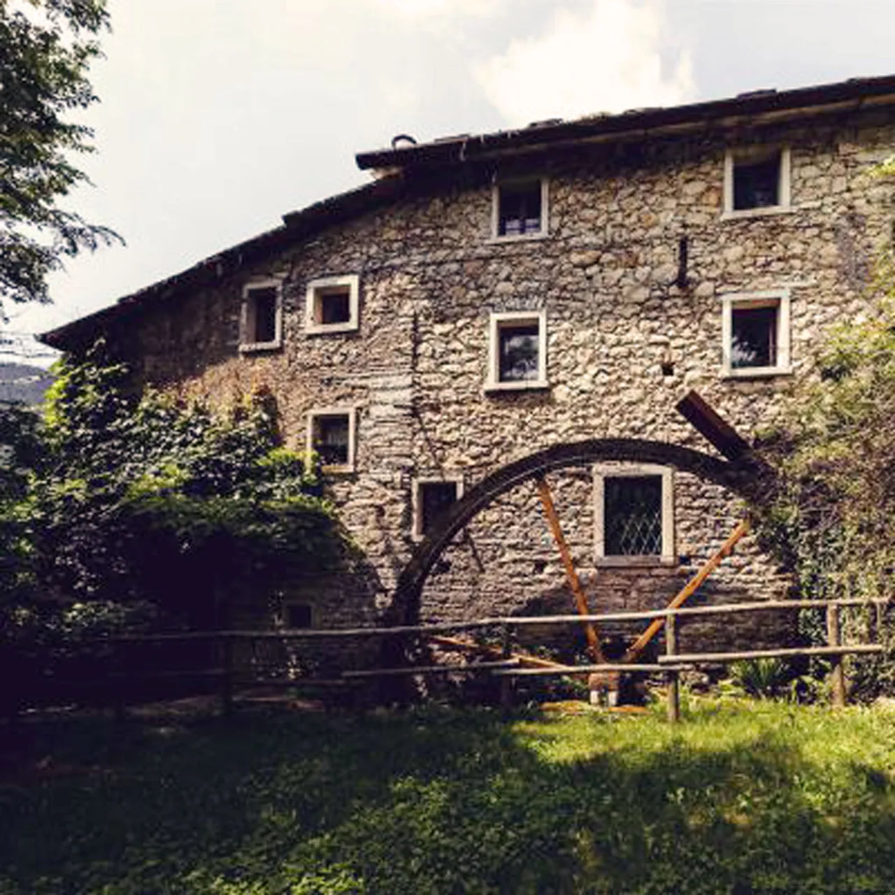 Azienda agricola Terre di Molina